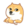 小陈博客